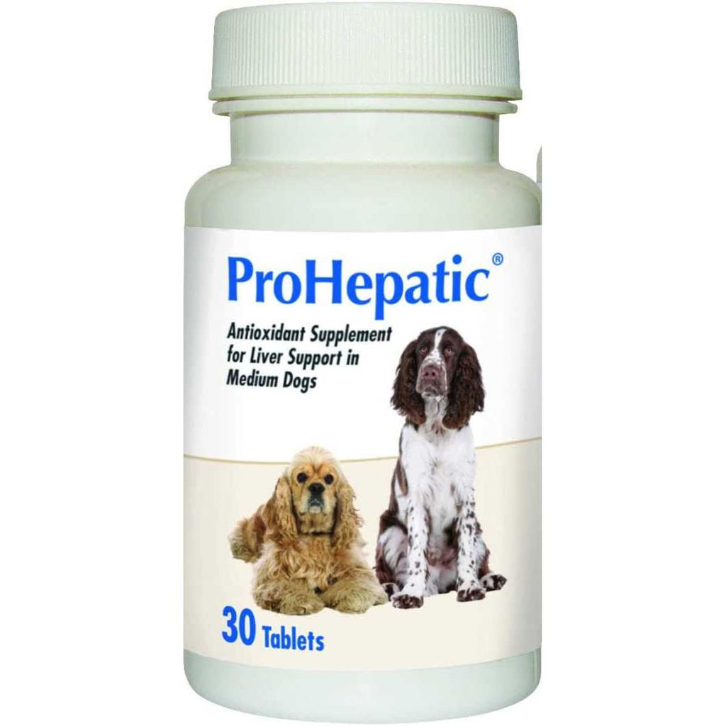 Liver Support Chewable Tablets Dogs Z32577