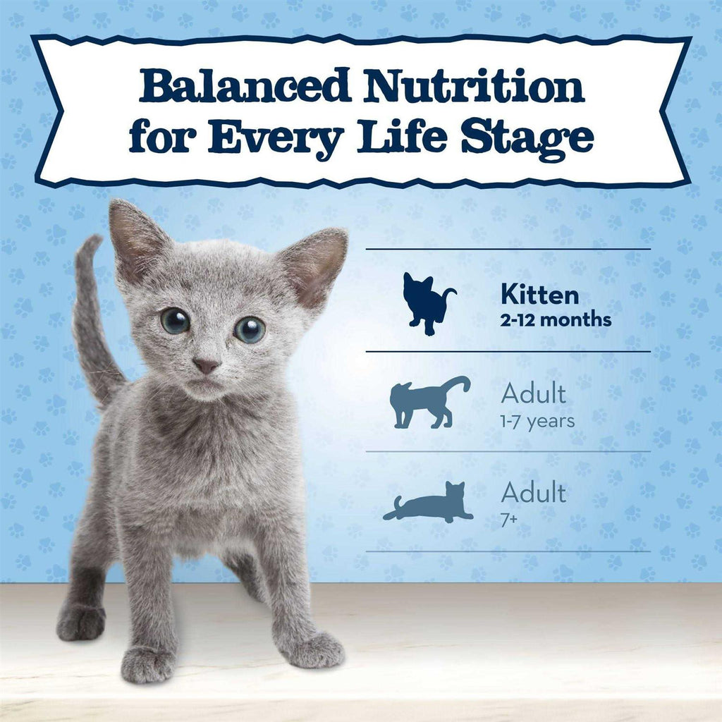 Chicken Recipe Wet Kitten Food C8550