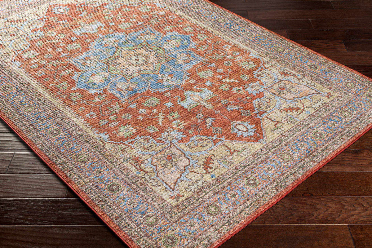 Burnt Orange Traditional Area Rug Y28699