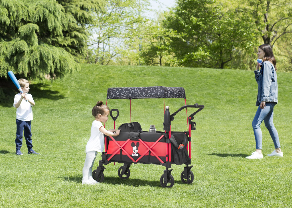 Stroller Wagon N400016