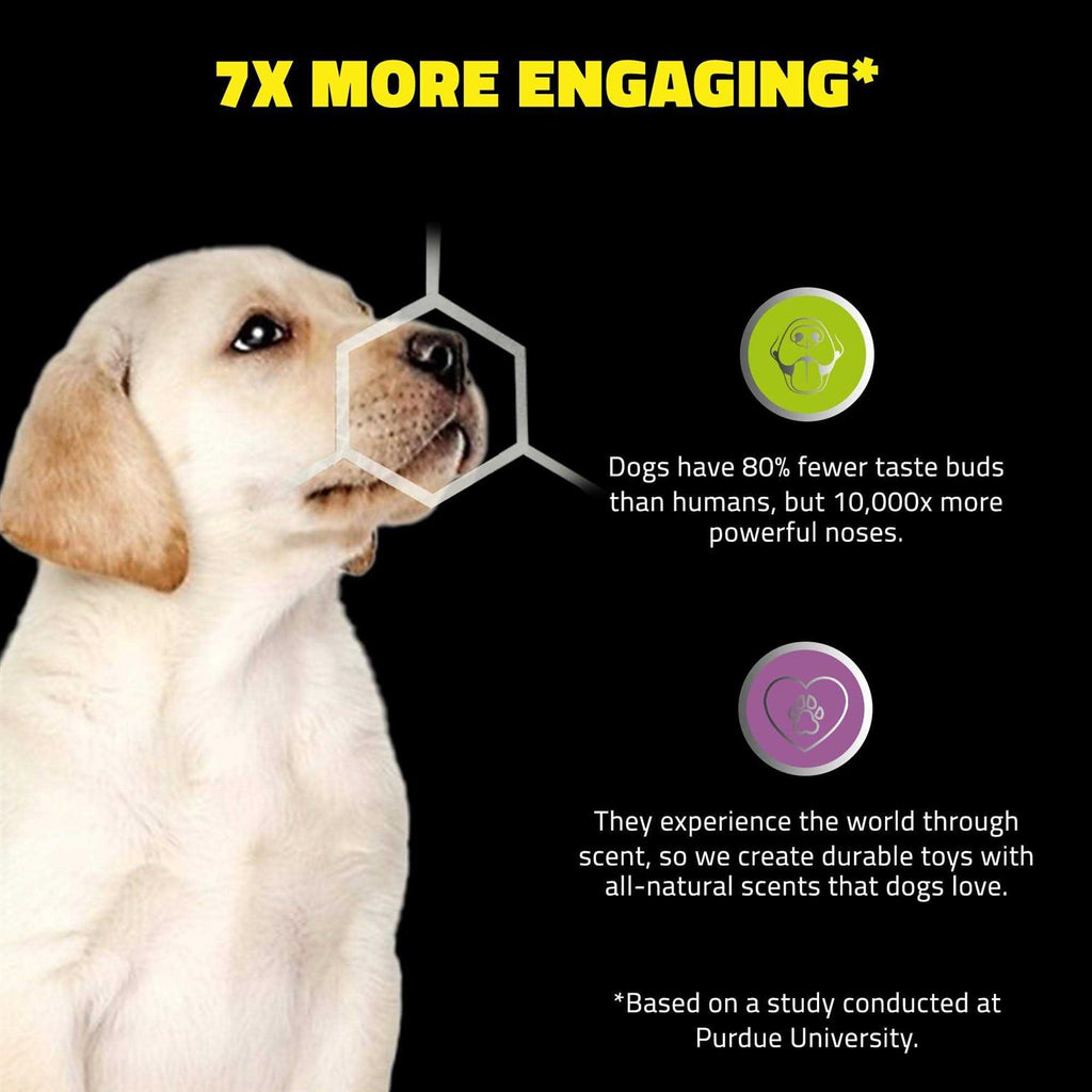 Sensory Ball Dog Toy H35766