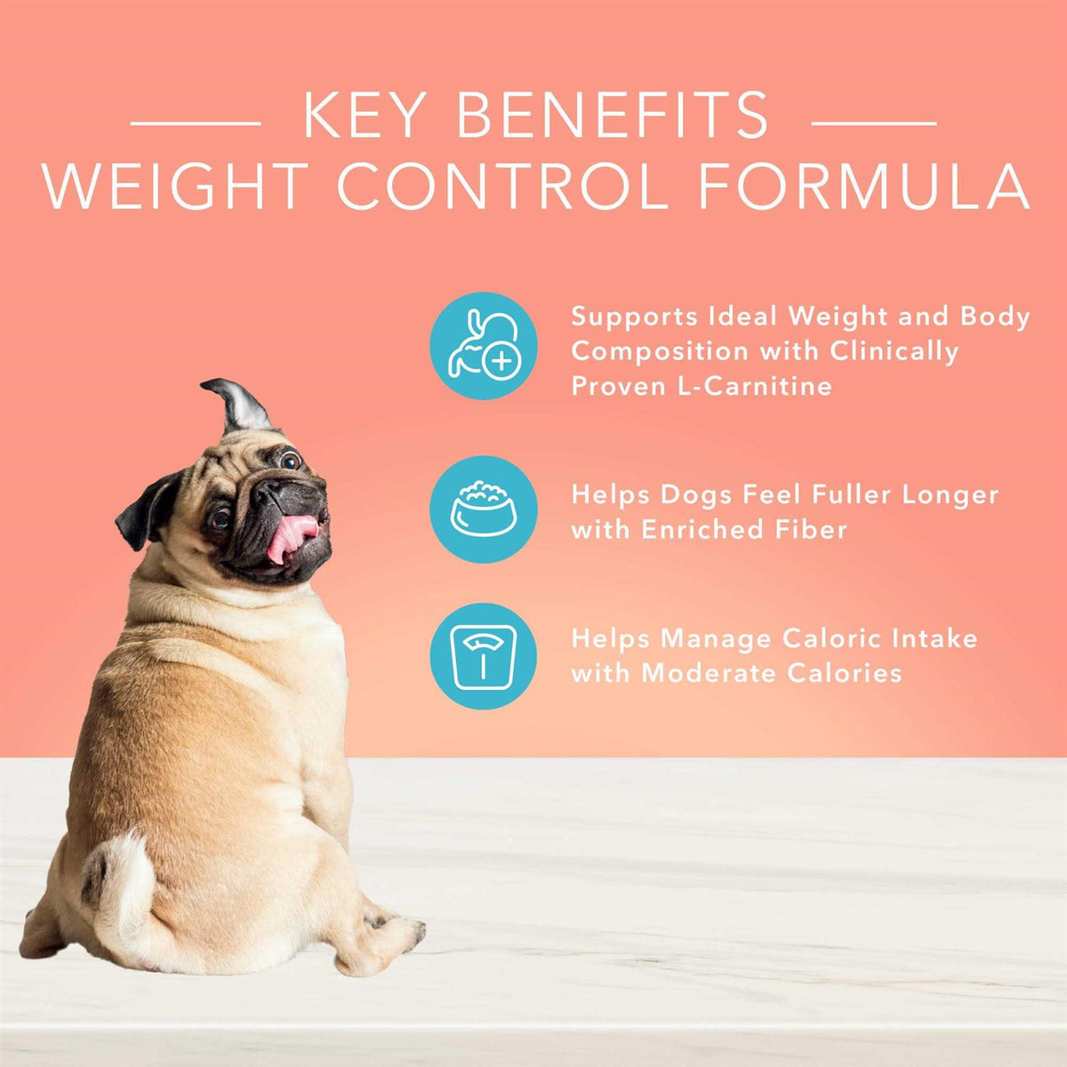 Blue Buffalo True Solutions Fit & Healthy Weight Control Dog Food K4280