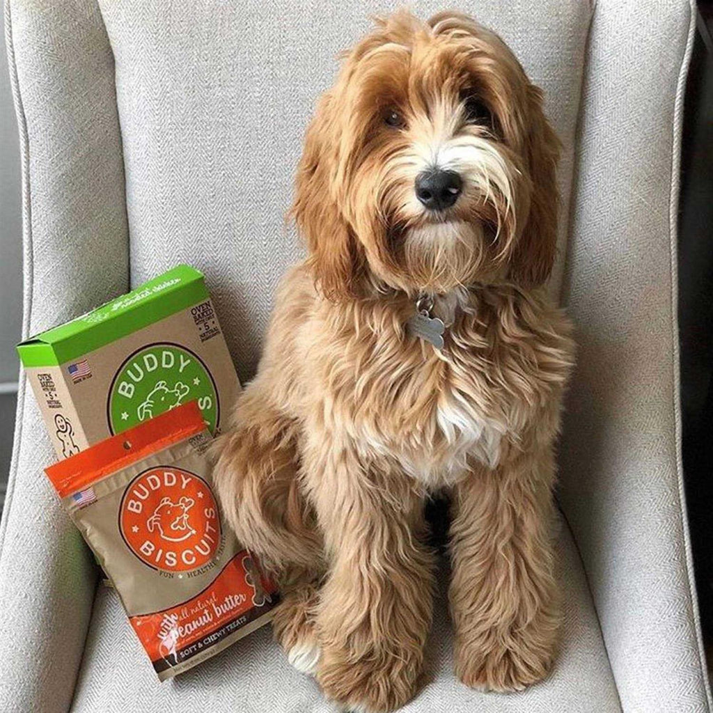 Peanut Butter Soft and Chewy Dog Treats P547661