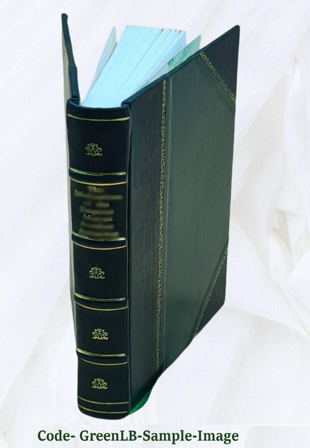 Leather Bound Book K335429