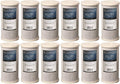 12-Pack Carbon Block Replacement Water Filters E22190