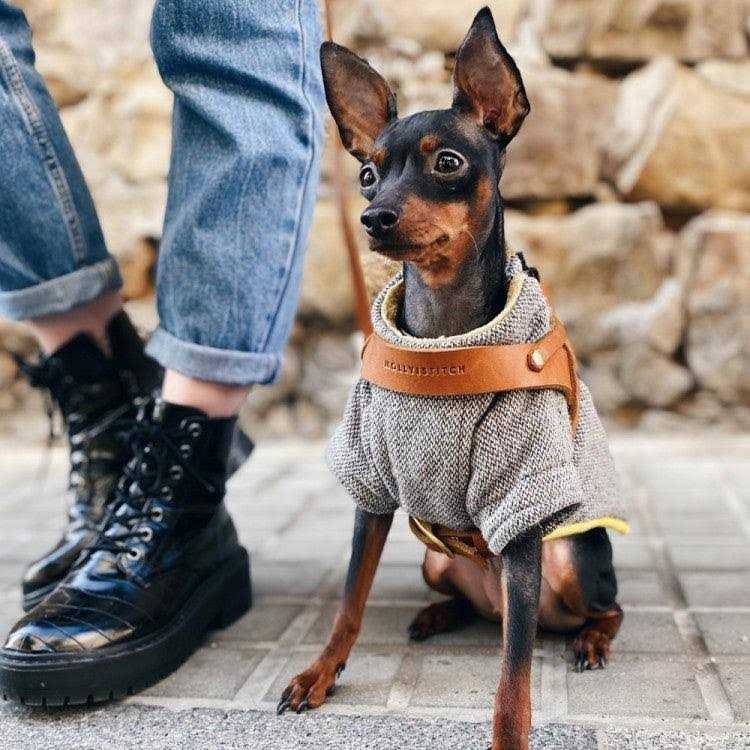 Leather Dog Harness U285819