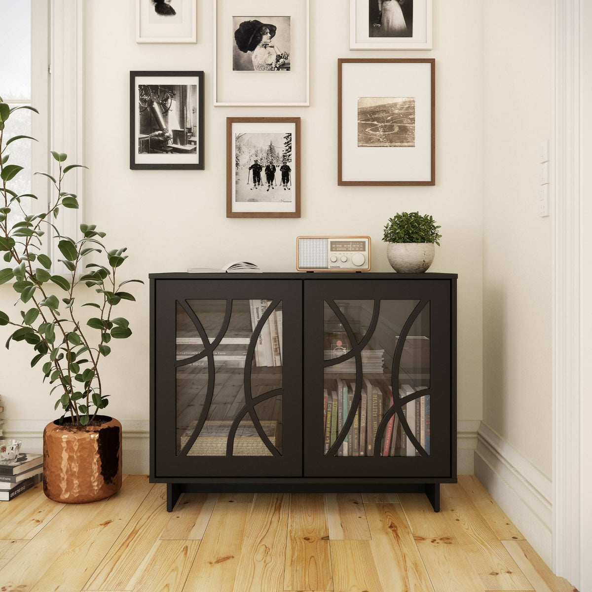 Black 2-Door Storage Cabinet F372