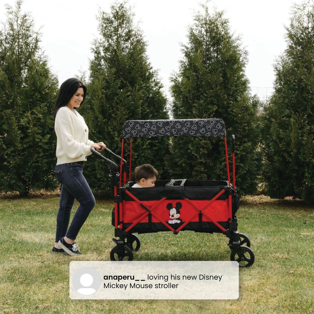Stroller Wagon N400016