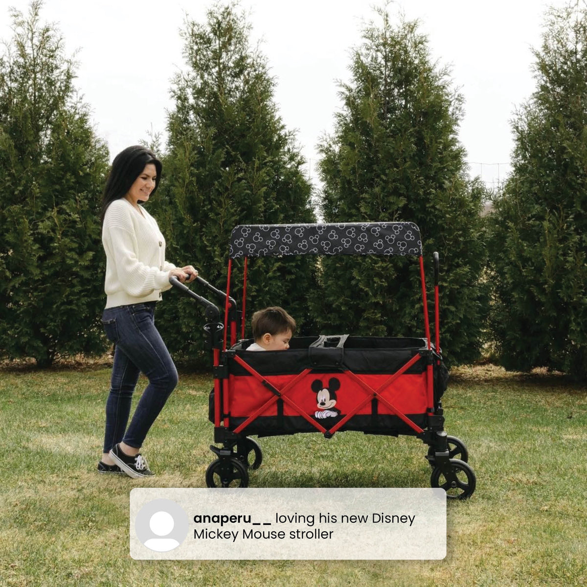 Stroller Wagon N400016