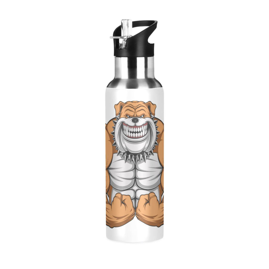 Stainless Steel Insulated Water Bottle with Straw Lid A142794