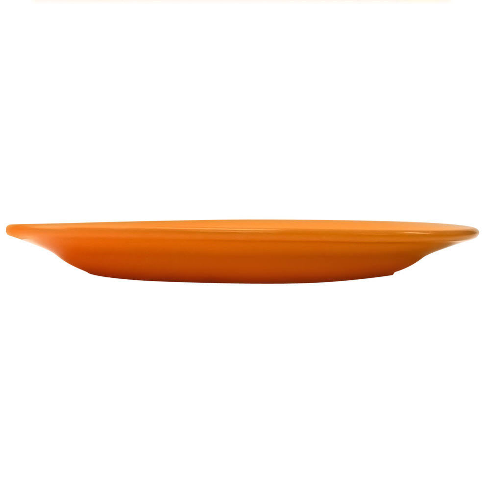 Orange Stoneware Wide Rim Platter X520023