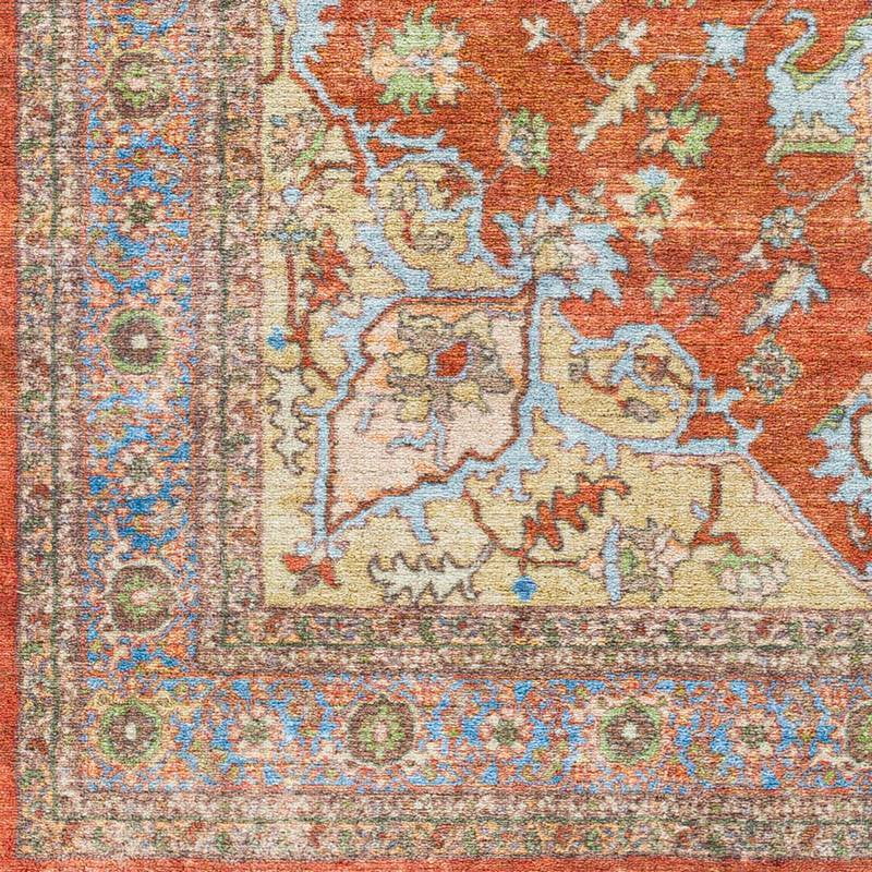 Burnt Orange Traditional Area Rug Y28699