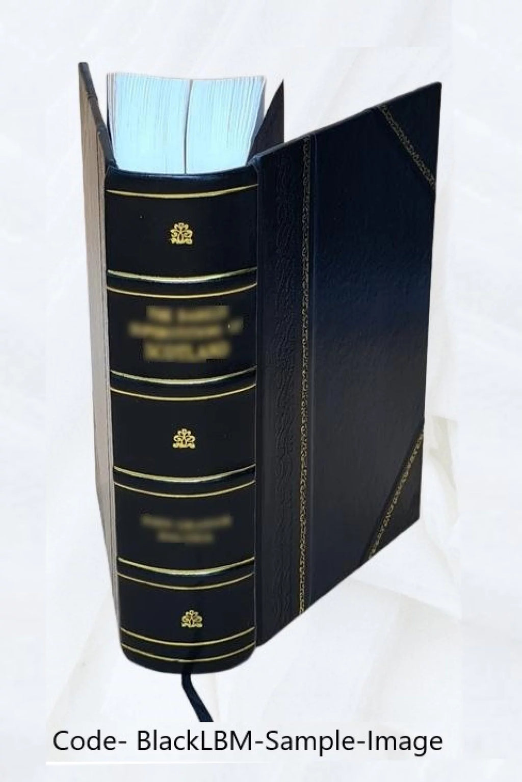 Leather Bound A519