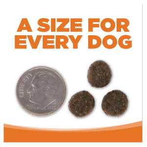Grain Free Venison Red Lentils Dog Food I9029
