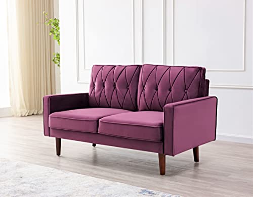 Tufted Velvet Couch, 57.5'' Wide Loveseat F9666