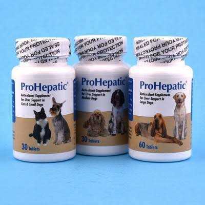 Liver Support Chewable Tablets Dogs Z32577