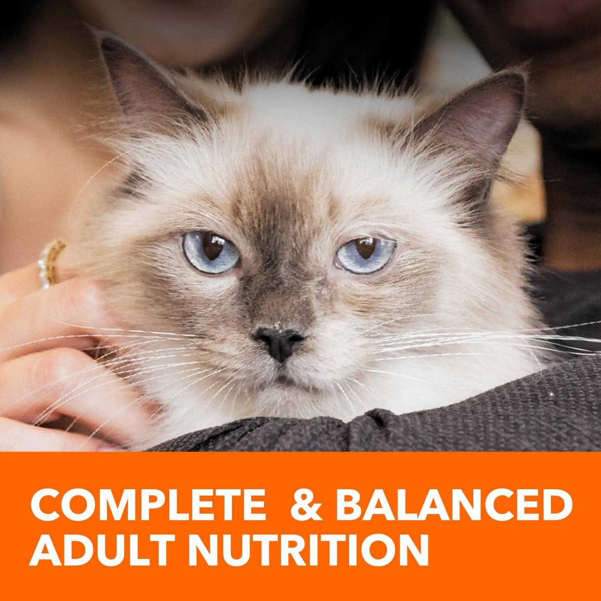 Adult Cat Food G75761