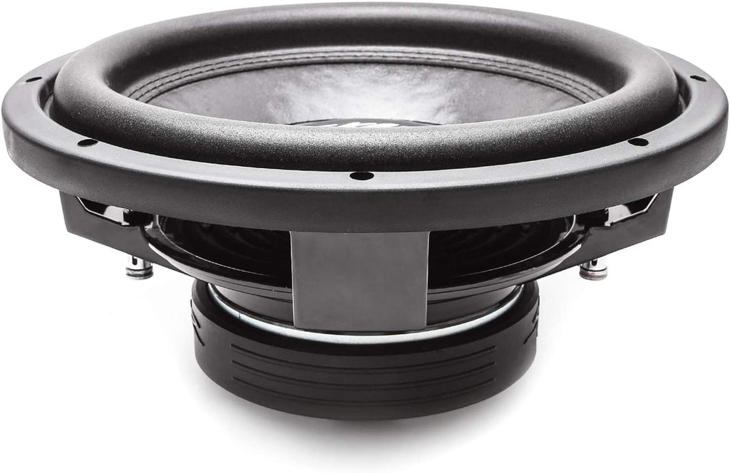 12 Dual 2 Ohm Shallow Mount Car Subwoofer H349984