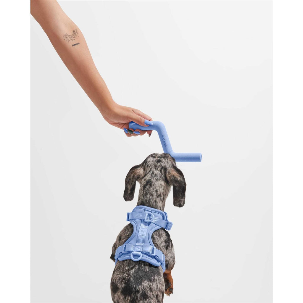 Bolt Bite Dog Toy E7185