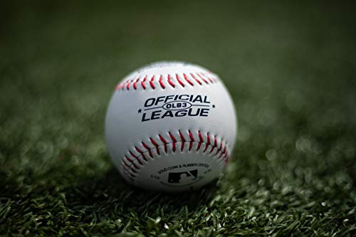 Practice Baseballs Bag of 12 V686408
