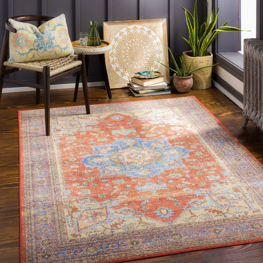 Burnt Orange Traditional Area Rug Y28699
