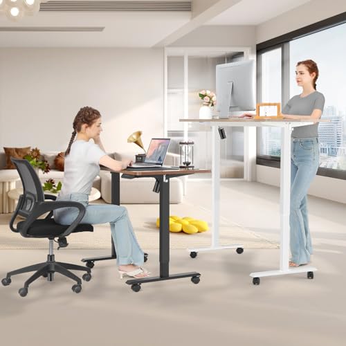 55'' x 24'' Electric Adjustable Height Sit Stand Desk with Charging Station (Oak) N5329