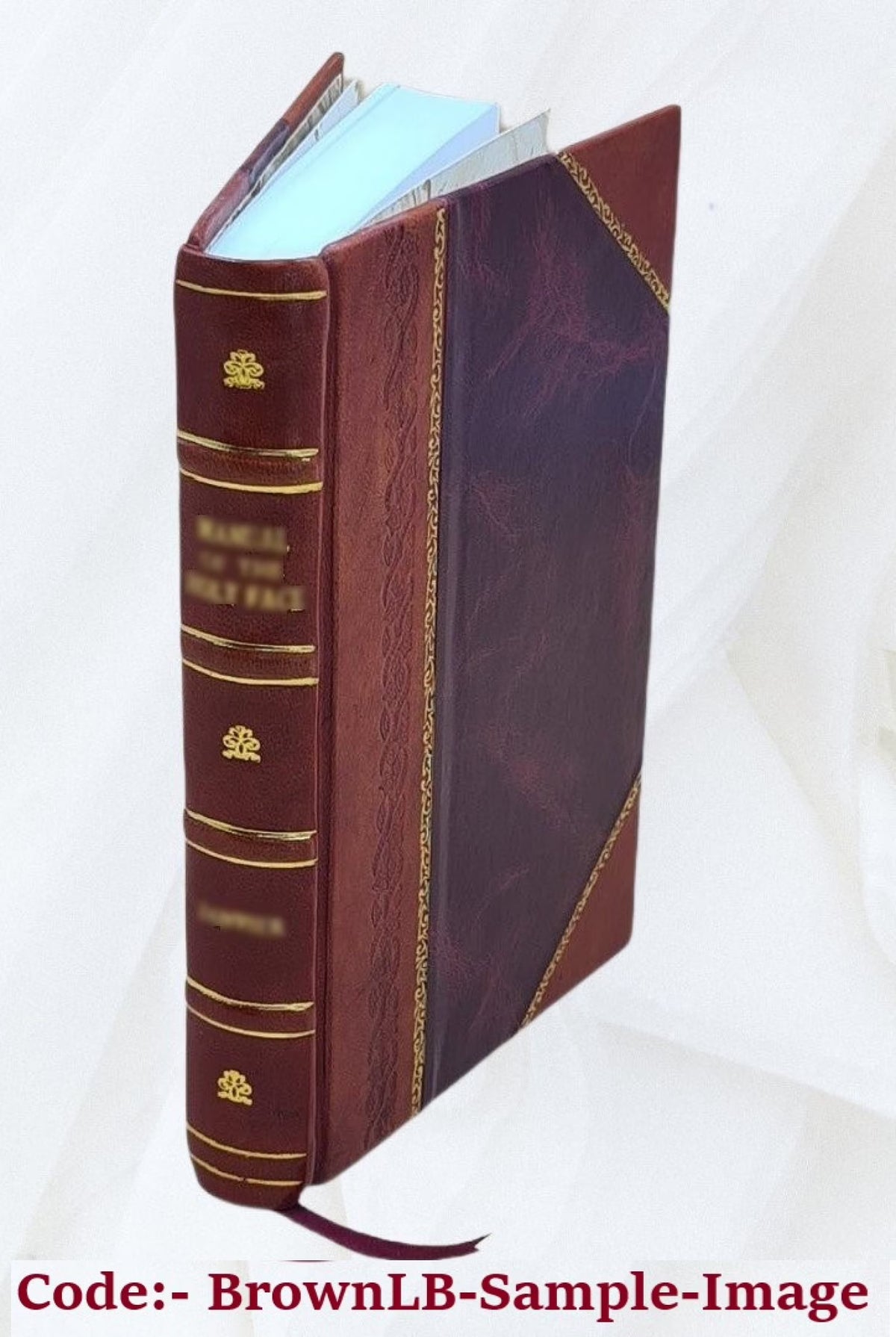 Leather Bound Book K335429