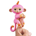 2Tone Monkey Interactive Pet R826