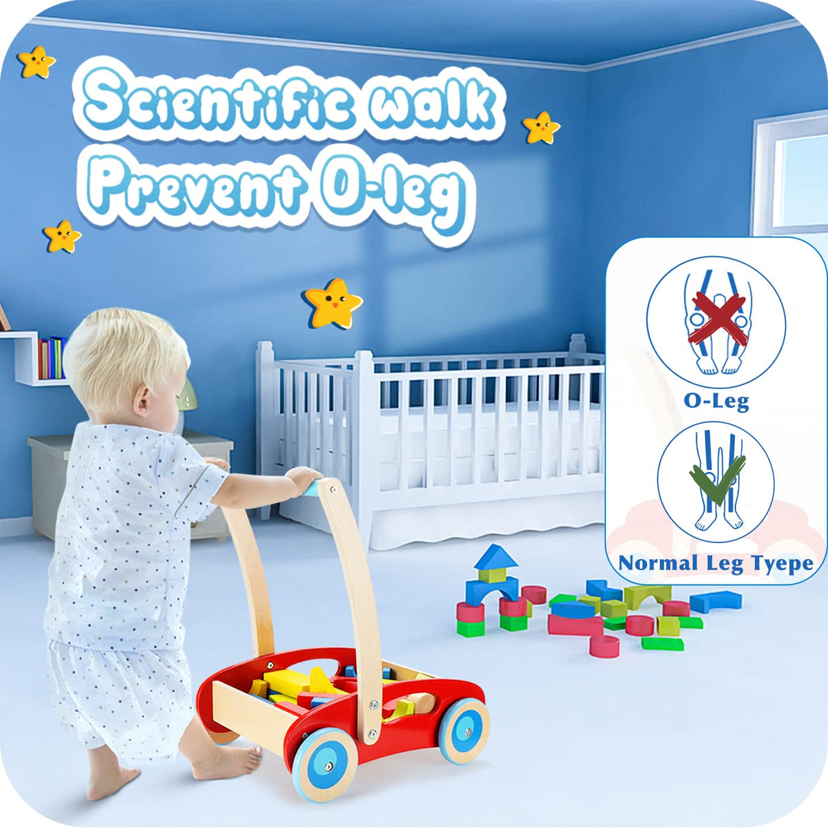 Wooden Baby Walker G986