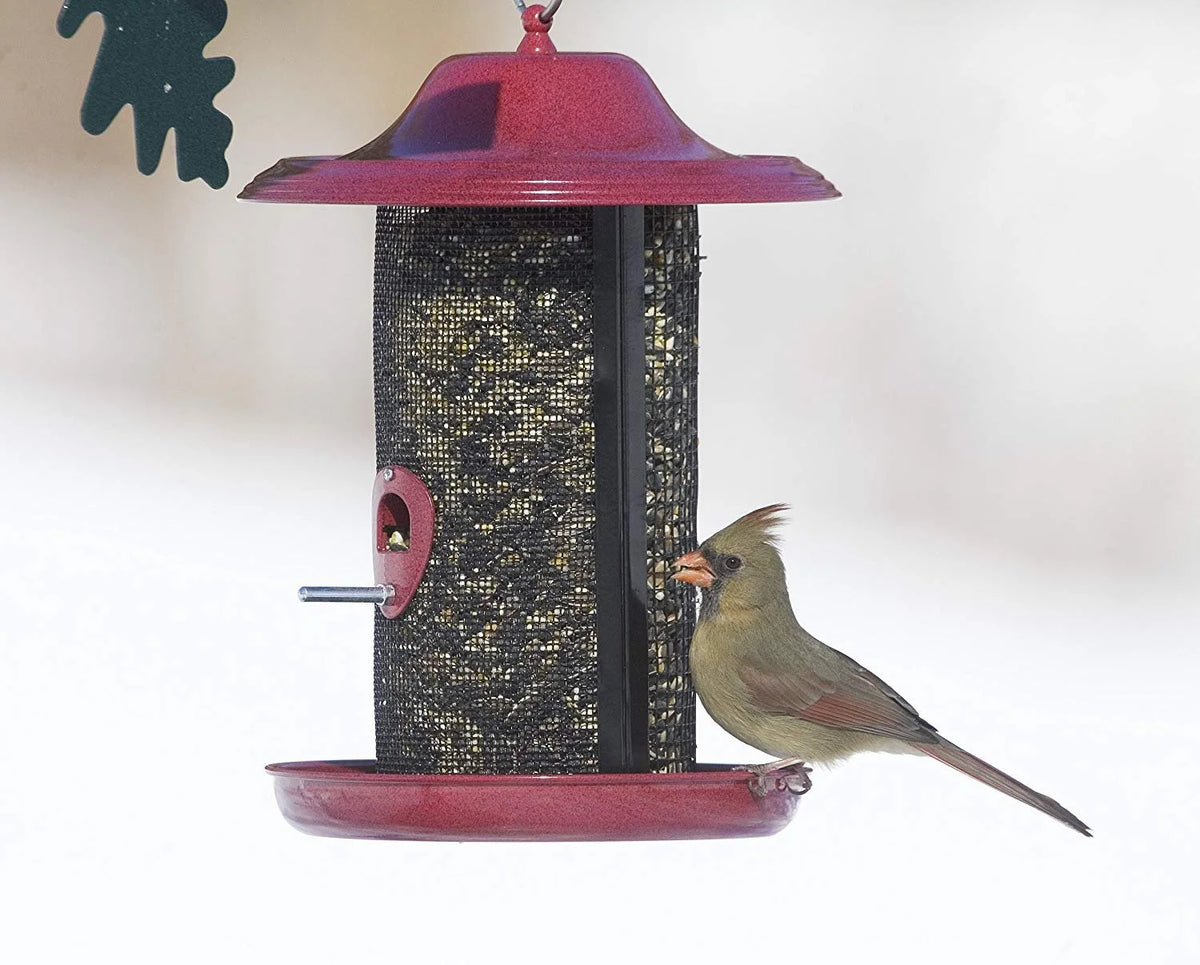 Red Twin Chamber Bird Feeder with Metal Roof J124147