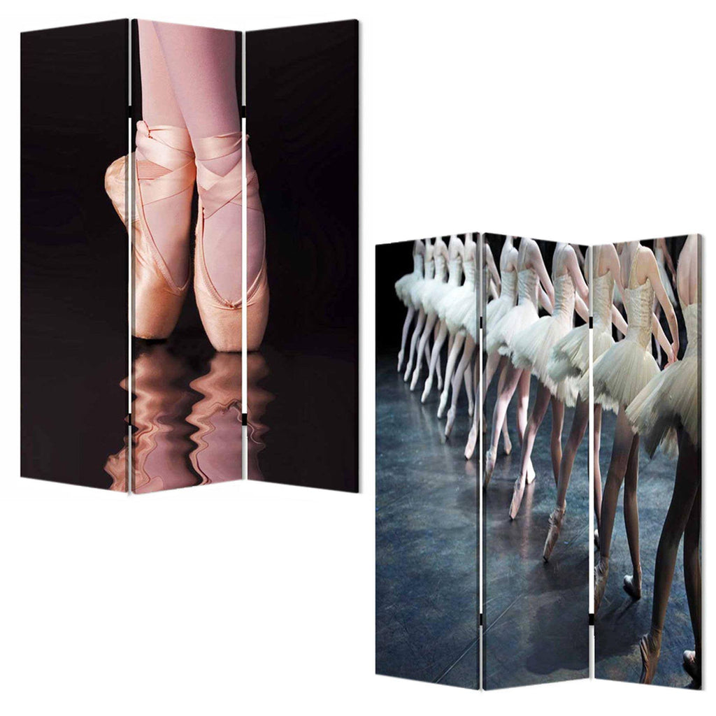 Multi Color Wood Canvas Ballet Screen E604790
