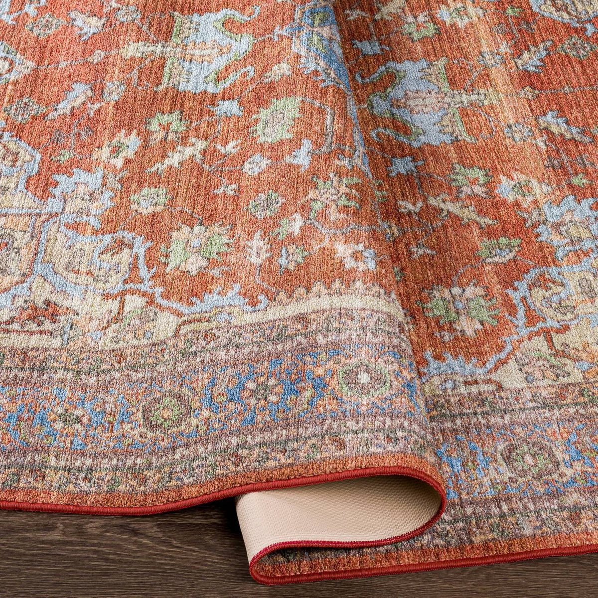 Burnt Orange Traditional Area Rug Y28699