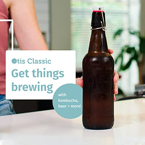 Swing Top Glass Bottles Set of 6, 16oz Clear with Caps C123