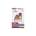 Puppy Canned Dog Food G93482
