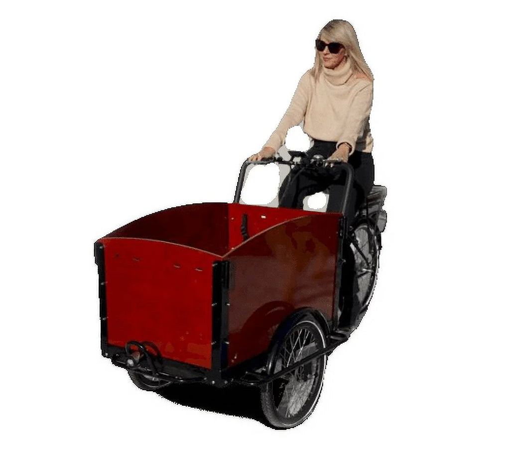Electric Dutch Cargo Tricycle Bike H318115