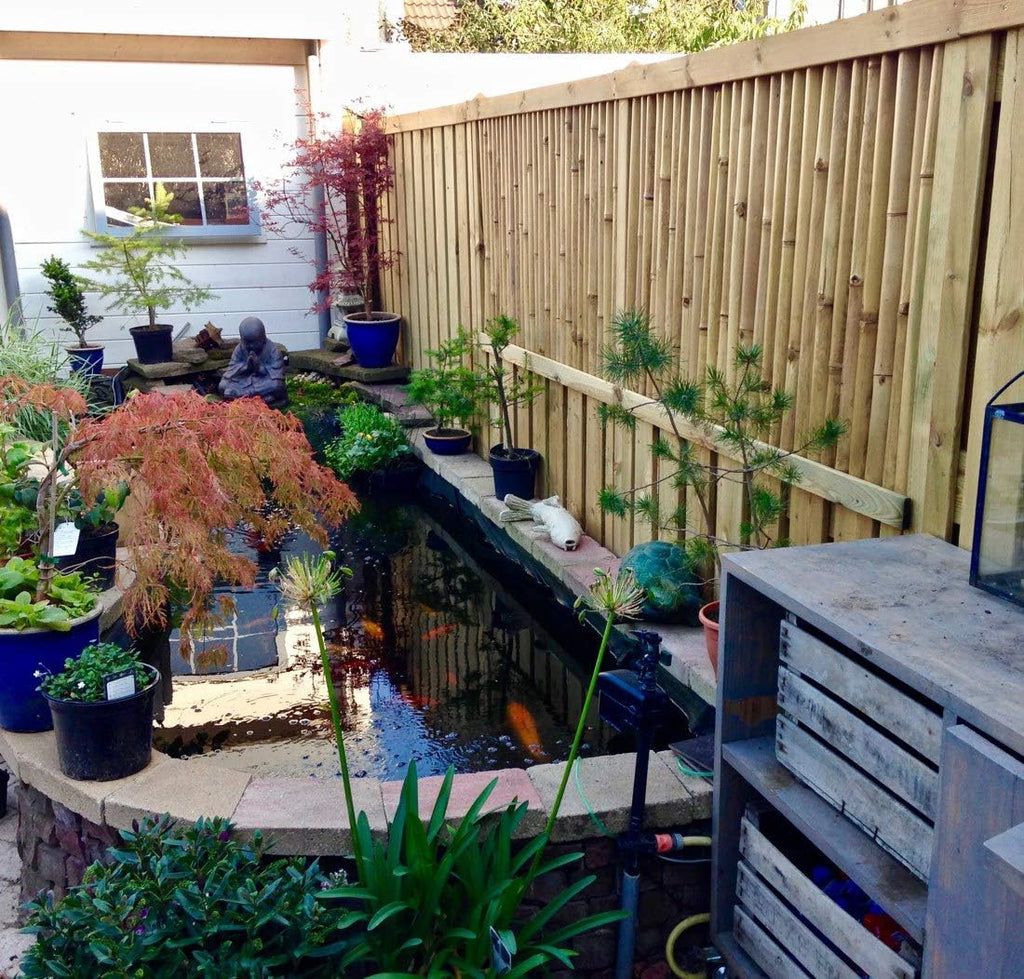Natural Reed Fence, 5'H x 14'L F753