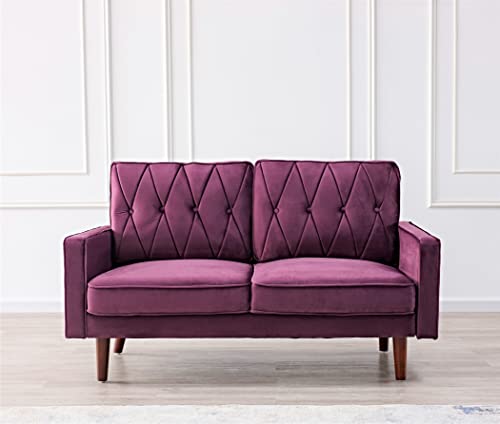 Tufted Velvet Couch, 57.5'' Wide Loveseat F9666
