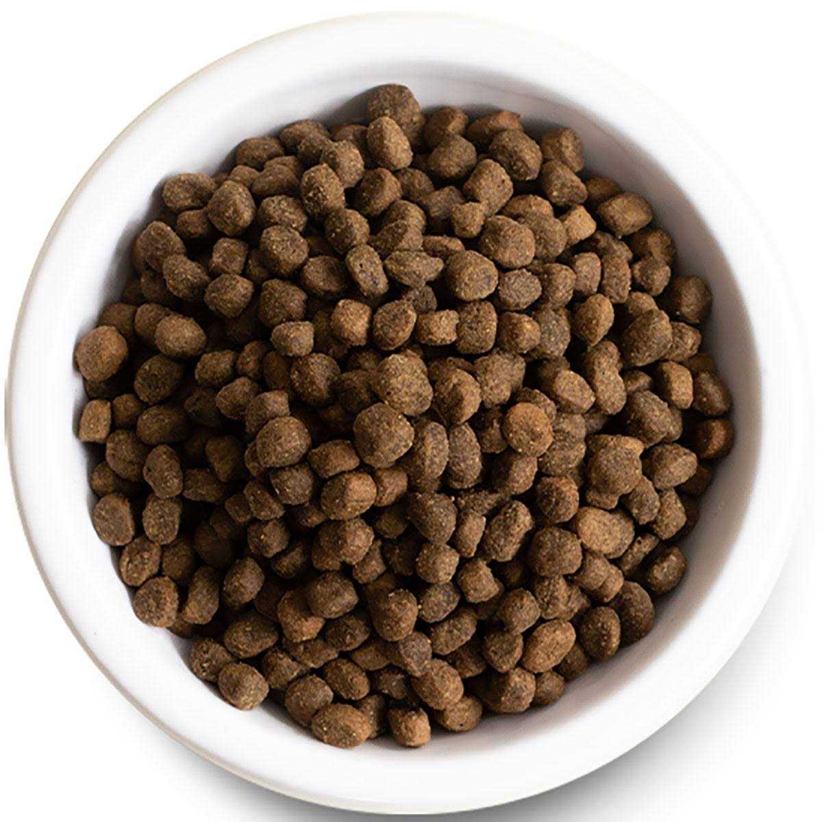 Grain Free Grass Fed Beef Dry Dog Food I840487