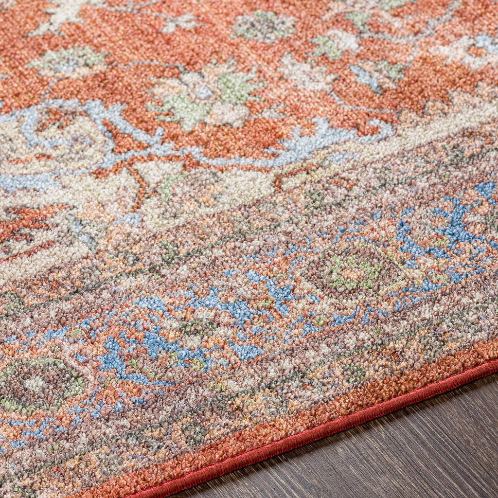 Burnt Orange Traditional Area Rug Y28699