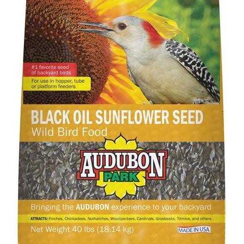 Black Oil Sunflower Seed Wild Bird Food A99351