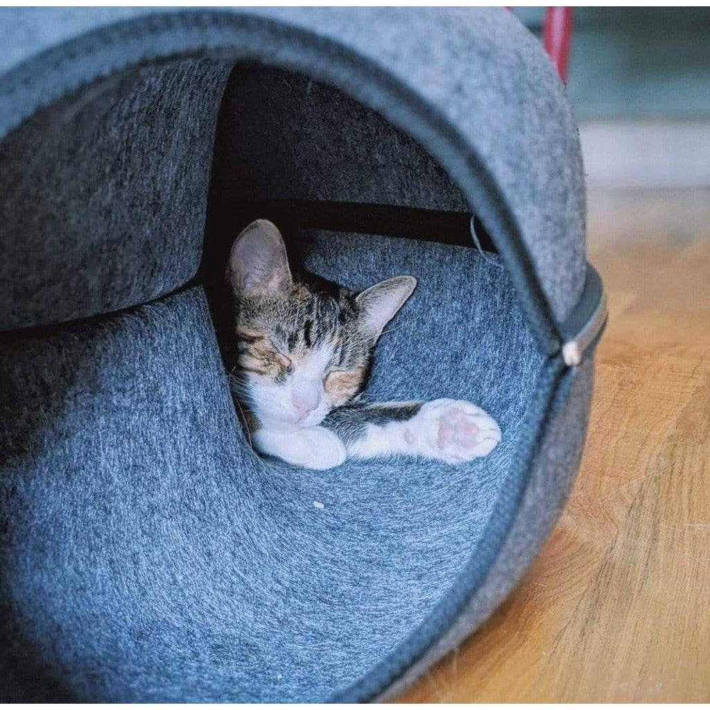 Cat Hideaway Cave I363