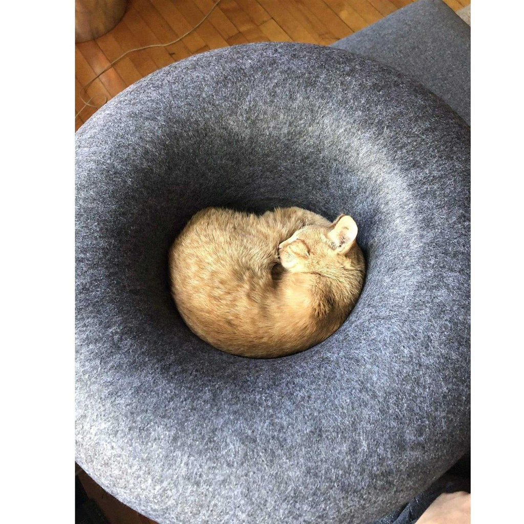 Cat Hideaway Cave I363