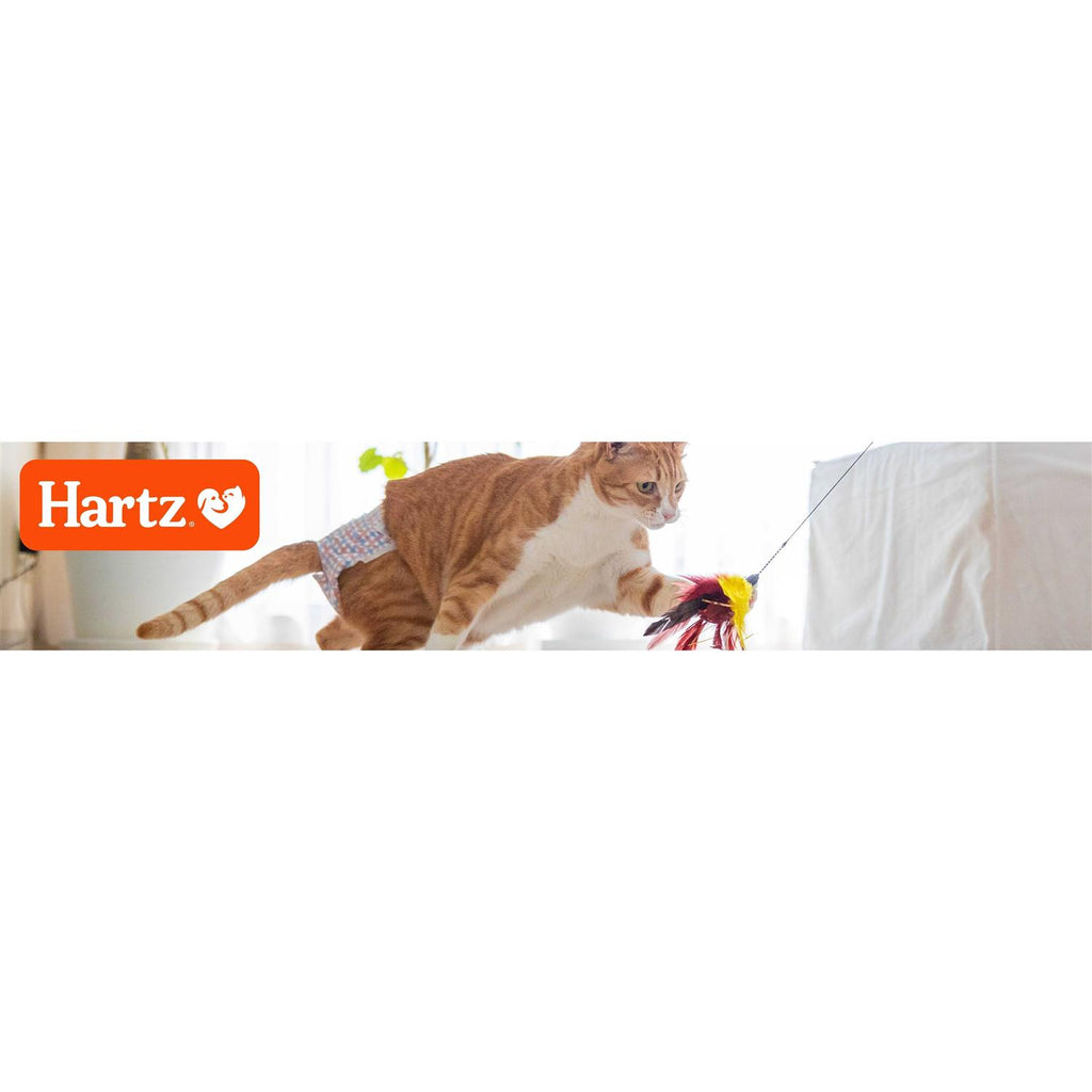 Disposable Cat Diapers K51816