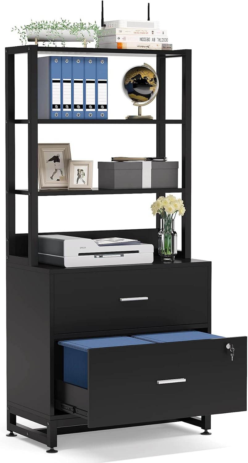 2 Drawer Lateral File Cabinet with Lock, Black B57029