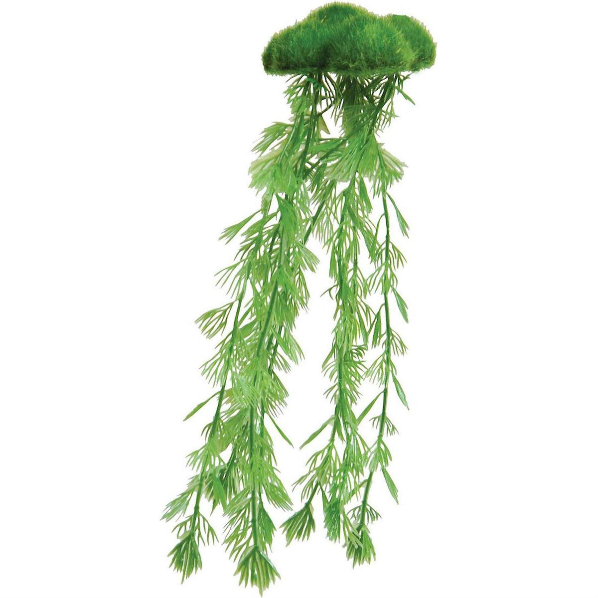 Floating Moss with Roots L411119