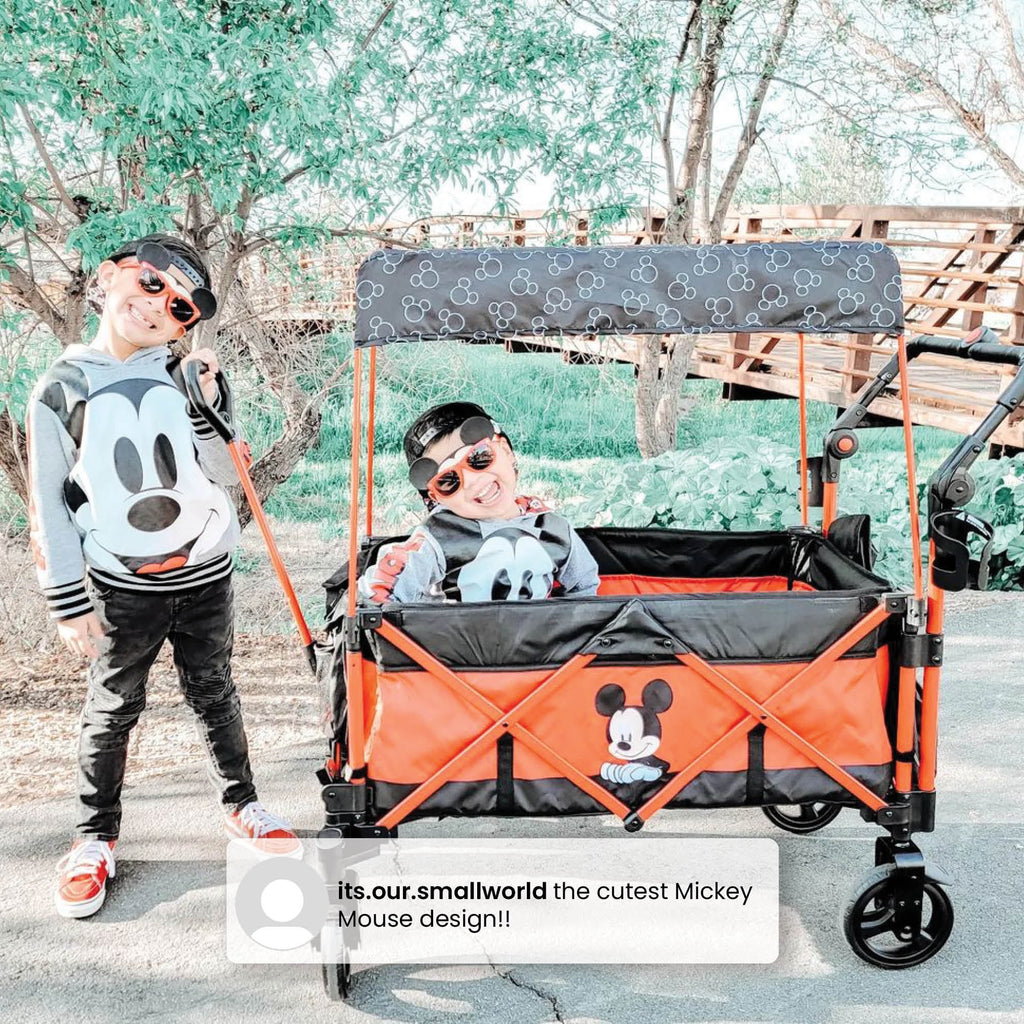 Stroller Wagon N400016