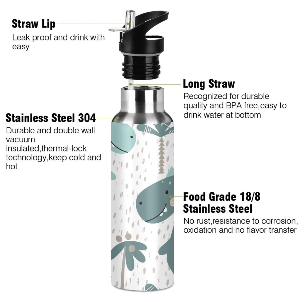 Stainless Steel Insulated Water Bottle with Straw Lid Y856
