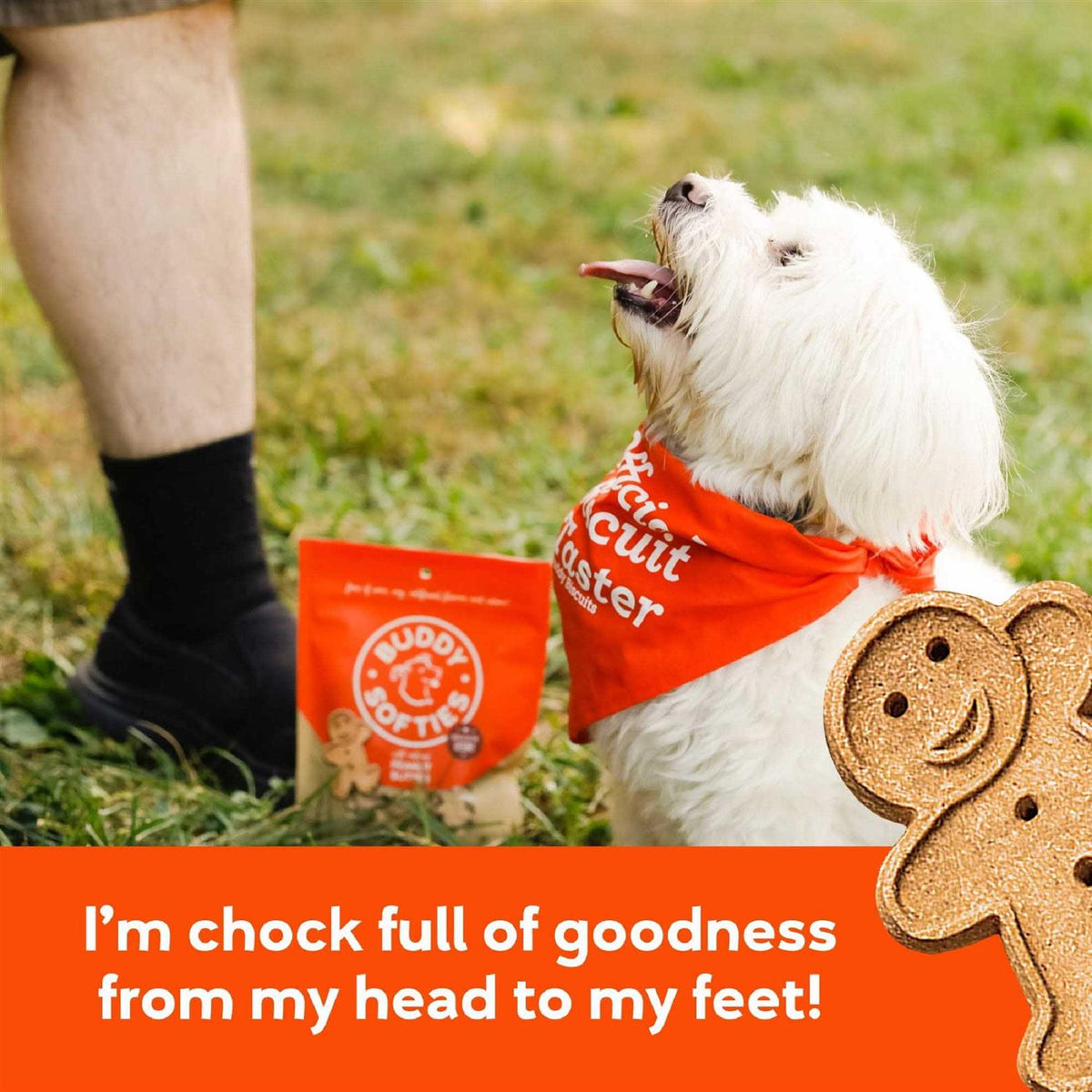 Peanut Butter Soft and Chewy Dog Treats P547661