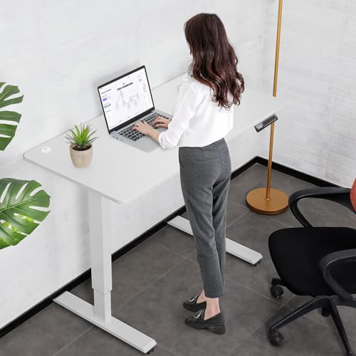 55'' x 24'' Electric Adjustable Height Sit Stand Desk with Charging Station (Oak) N5329