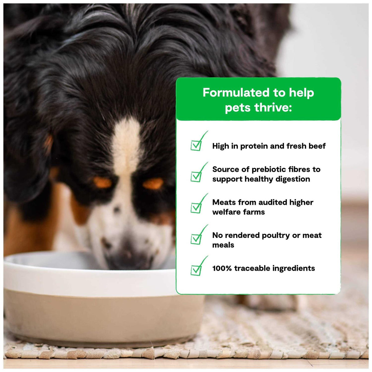 Grain Free Grass Fed Beef Dry Dog Food I840487